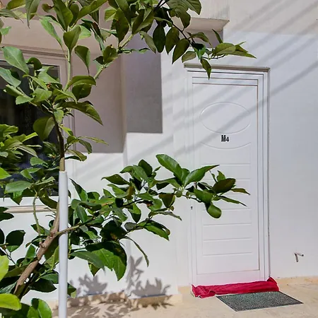 Apartament Cosy 3br With Backyard In Of By 360 Estates